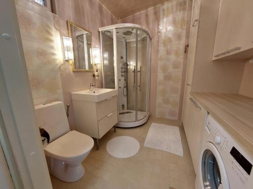 康阿斯阿拉Tilava kaksio paritalosta的带淋浴、卫生间和盥洗盆的浴室