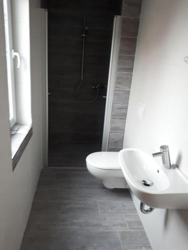 博尔兴斯塔德特瑞德潘森酒店的浴室配有卫生间、盥洗盆和淋浴。