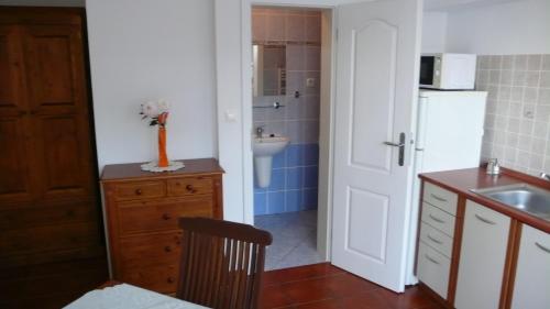 捷克克鲁姆洛夫A-apartmán的厨房配有水槽和白色冰箱