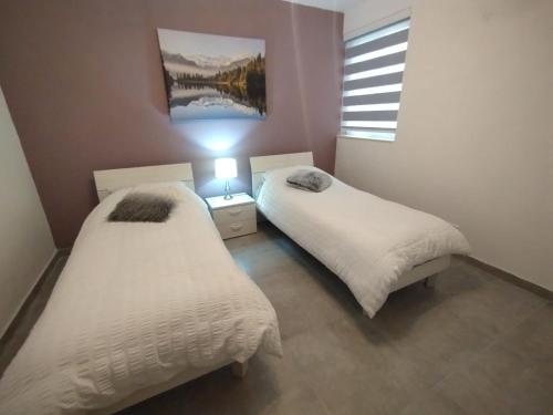 圣保罗湾城San Pawl Lodge Hostel的带窗户的客房内设有两张单人床。