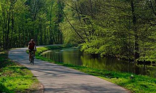 WolfisheimAppartement jerry et joy的骑着自行车沿着河边的小路骑行的人