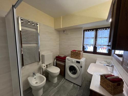 库马约尔Chalet Chez Louis vista Catena Monte Bianco sulle piste da sci的浴室配有卫生间水槽和洗衣机。