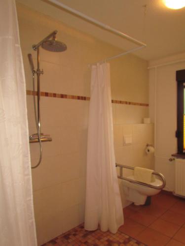 Usedom TownFerienhof Gliesner的带淋浴帘和卫生间的浴室