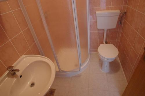 波弗加纳Apartments Dubrovnik Two的带淋浴、卫生间和盥洗盆的浴室