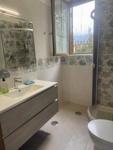 卡帕乔-帕埃斯图姆B&B Antica Forneria的一间带水槽和卫生间的浴室以及窗户。