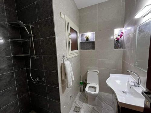 马萨阿拉姆Sadam luxury Guest House的一间带水槽、卫生间和淋浴的浴室