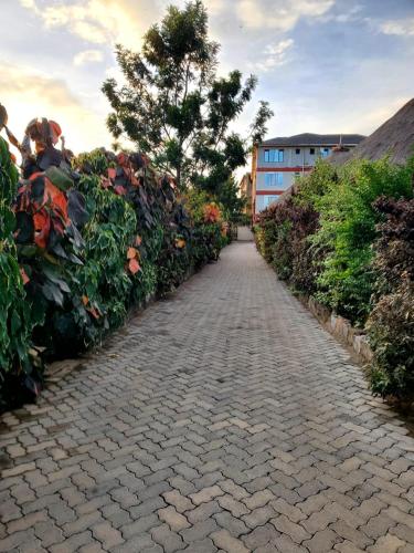 MasenoGalore Luxury Resort的一条有灌木和树的鹅卵石路径