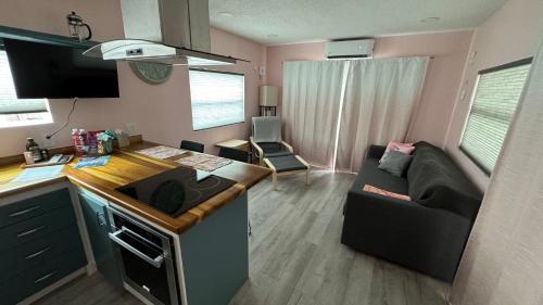 萨拉索塔Flamingo Tiny Home的带沙发的小客厅和厨房