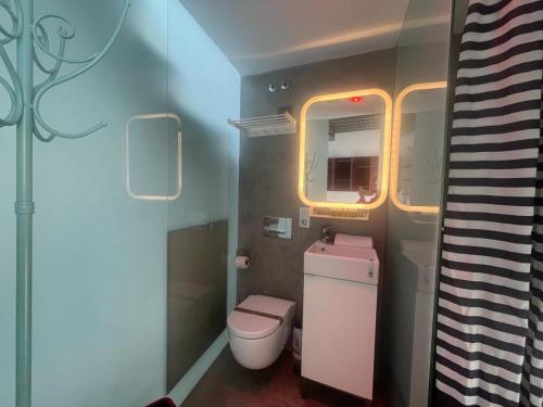 阿利坎特Casa Enroque的一间带卫生间和窗户的小浴室