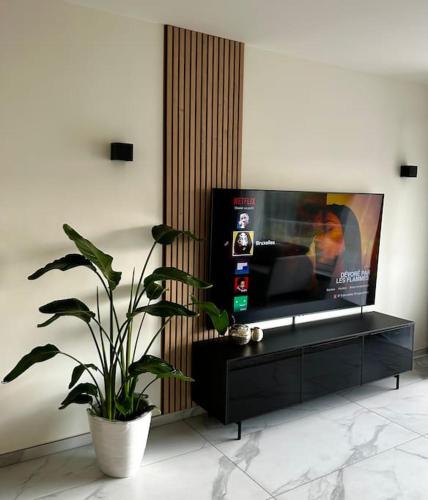 布鲁塞尔Logement Woluwé的一间带电视和盆栽植物的客厅