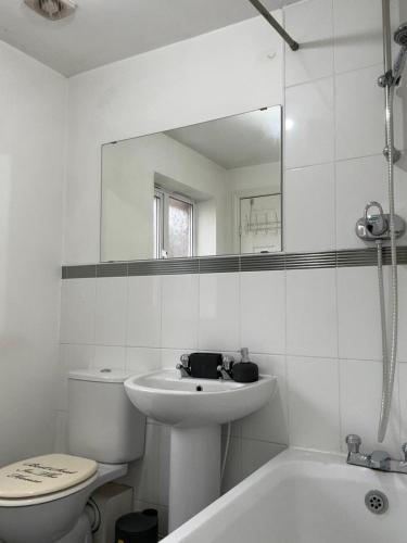 威森肖City Airport Apartment的一间带水槽、卫生间和镜子的浴室