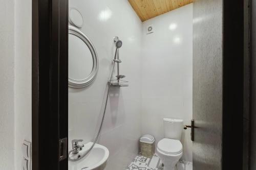 姆茨赫塔Nectar Villa Mukhadtskaro / ვილა ნექტარი მუხადწყარო的一间带卫生间、水槽和镜子的浴室