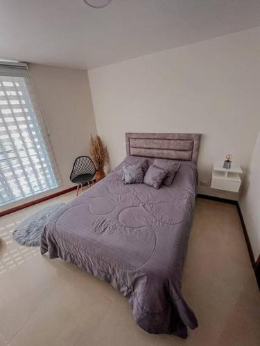 马尼萨莱斯Apartamento Duplex en ubicacion privilegiada的一间卧室设有一张大床和一个窗户。