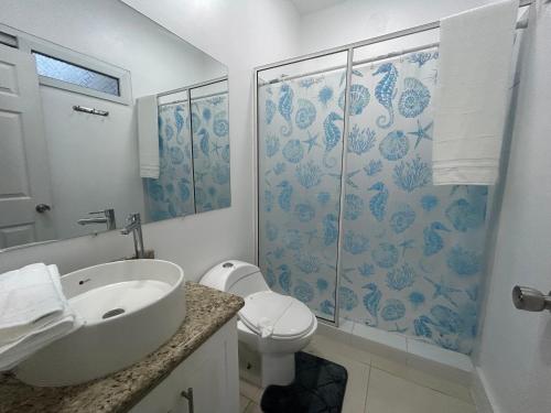 西区Caribbean Nest, West End, Roatan的一间带水槽、卫生间和淋浴的浴室