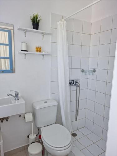 波罗斯Panoramic View apartment的白色的浴室设有卫生间和淋浴。