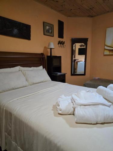 维奥康德马奥Pousada Bolo Húngaro的一间卧室配有一张带白色床单和镜子的床
