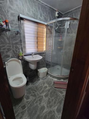 MalitbogPortofino Homestay的浴室配有卫生间、淋浴和盥洗盆。