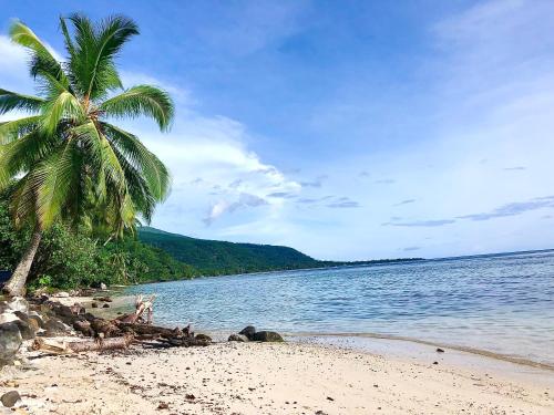 TohautuMaui Homestay的海滩上的棕榈树与大海