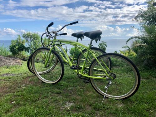 TohautuMaui Homestay的一辆绿色自行车停在草地上