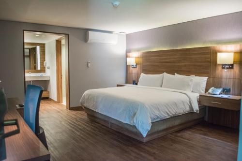 莫雷利亚莫雷利亚智选假日酒店的酒店客房设有一张大床和一间浴室。