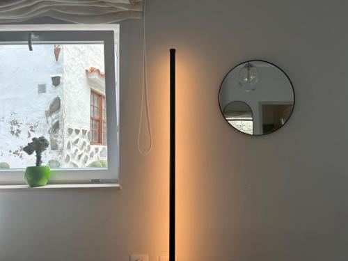 加拉奇科Perro y Osito的一面靠窗的墙上的圆镜子