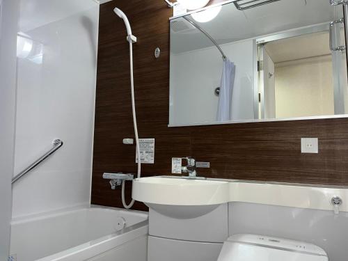 松江市Hotel Alpha-One Matsue的一间带水槽、卫生间和镜子的浴室