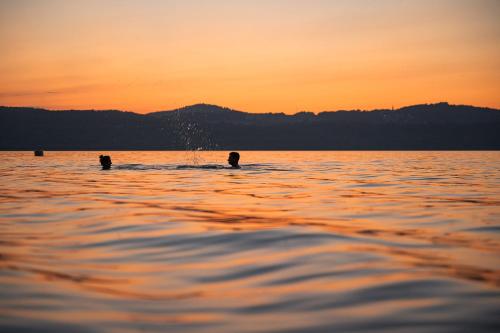 格尔利茨Insel der Sinne的两人在日落时分在水中游泳