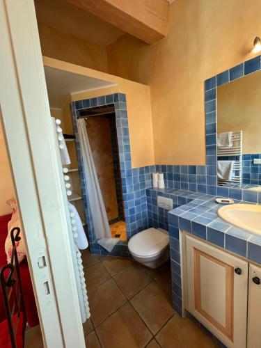 格里莫乐马泽德穆列什住宿加早餐旅馆的蓝色瓷砖浴室设有卫生间和水槽