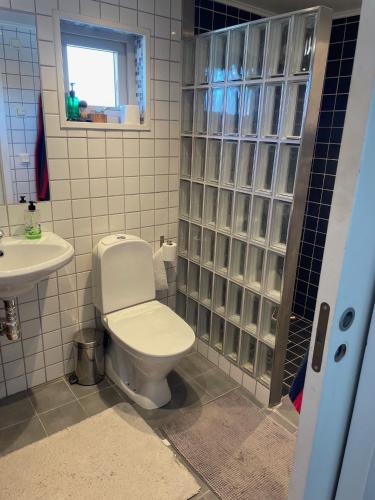 BunkeflostrandVilla i Bunkeflostrand的一间带卫生间和水槽的浴室