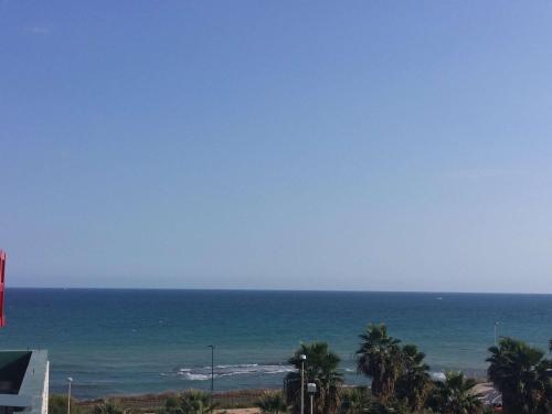 阿利坎特Ibis Hotel Alicante的享有棕榈树海滩和大海的景色