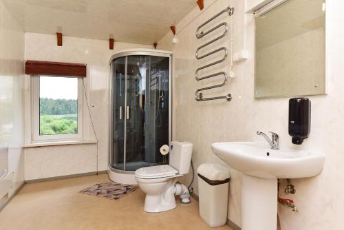 TytuvėnaiNamas su vaizdu į ežerą "Giliaus Nendrė"的浴室配有卫生间、盥洗盆和淋浴。