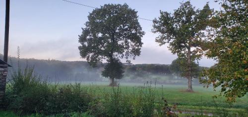 Saint-Martin-sur-OustLa Villauvert - Cottage的两棵树在一片有雾的田野里