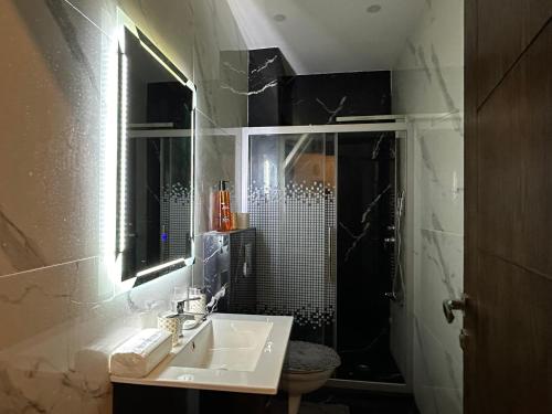 安曼Luxury Abdoun apartment的一间带水槽和淋浴的浴室