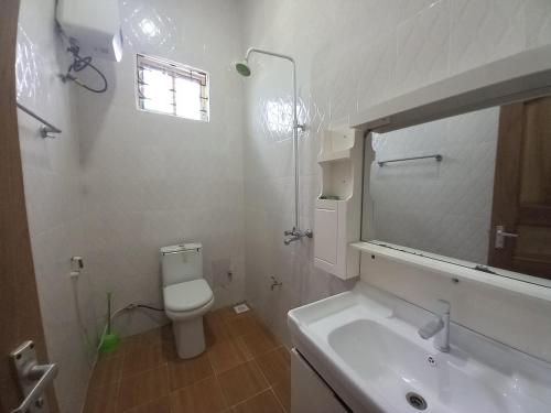 Chaki ChakiSinthia Hotel Apartments的一间带水槽、卫生间和镜子的浴室