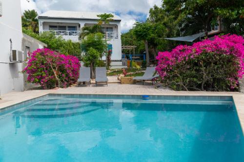 辛普森湾Blue Dream apartments的一座鲜花盛开的房子前的游泳池