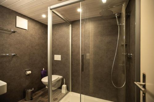 格林德尔瓦尔德少女峰小屋基本客房旅馆的浴室设有玻璃淋浴间和卫生间