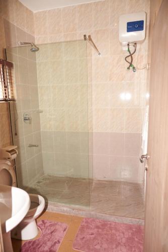 阿布贾1118 Serenity Residence的带淋浴、水槽和卫生间的浴室