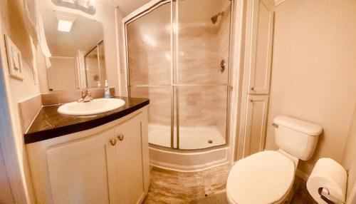 萨拉索塔Pinecraft Tiny Home 'Green Parrot '的带淋浴、卫生间和盥洗盆的浴室