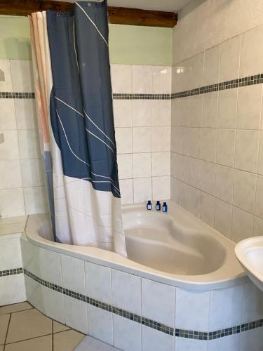 洪堡Haus Monika的浴室设有带浴帘的浴缸