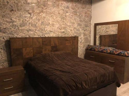 普埃布拉Dpto Centro Histórico Puebla的一间卧室配有一张大床和镜子