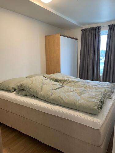 莱克内斯Helt ny leilighet的卧室内的一张大床,设有窗户