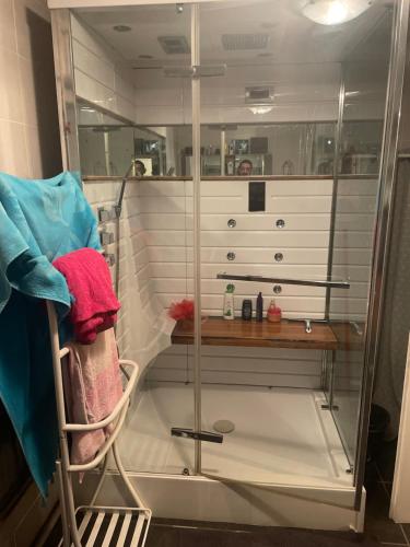 PusignanChambre verte spacieuse côté aéroport的浴室里设有玻璃门淋浴