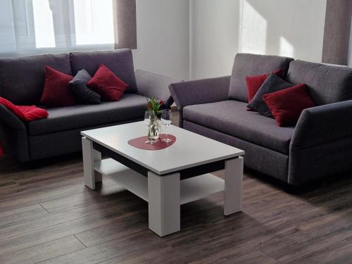 弗罗伊登施塔特Haus Ludwig的客厅配有两张沙发和一张咖啡桌