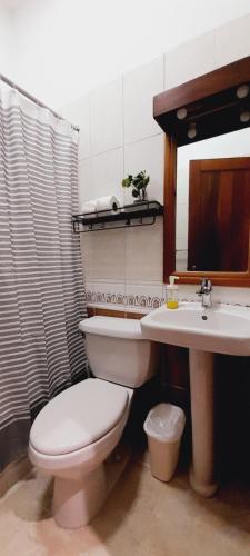 圣多明各Hotel Plaza Kavia的一间带卫生间和水槽的浴室