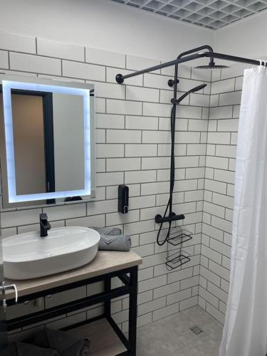 克雷廷加Apartment Loftas13-5的一间带水槽、镜子和淋浴的浴室