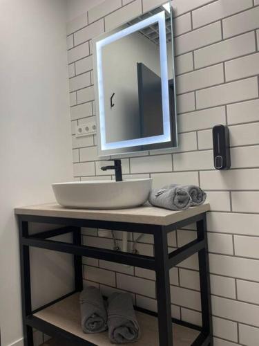 克雷廷加Apartment Loftas13-5的浴室配有盥洗盆和镜子