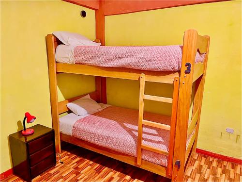 普诺Peru 229 Rest HOSTEL的客房内的两张双层床