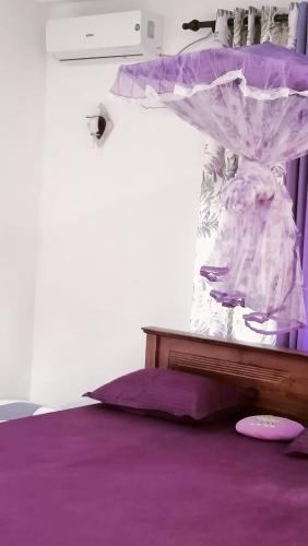 贝鲁沃勒Sunrise Relax Inn的一间卧室配有一张带紫色床单和天蓬的床。