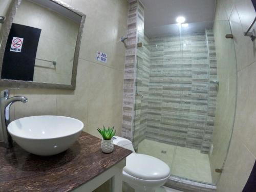 圣安德烈斯Hotel Almendros的浴室配有卫生间、盥洗盆和淋浴。