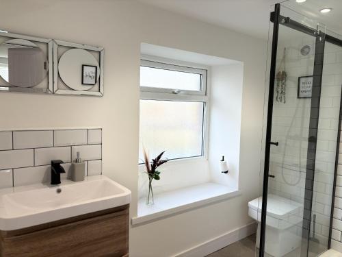 阿尔弗斯顿Hardy Hideaway的白色的浴室设有水槽和窗户。